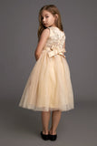 Ifomt - Kids Girls Wheat Floral Applique Sequin-Embellished Tulle Party Dress