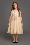 Ifomt - Kids Girls Wheat Floral Applique Sequin-Embellished Tulle Party Dress