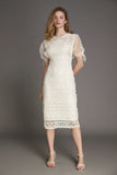 Ifomt - Ivory Mesh Drawstring Sleeve Lace Bodycon Midi Dress